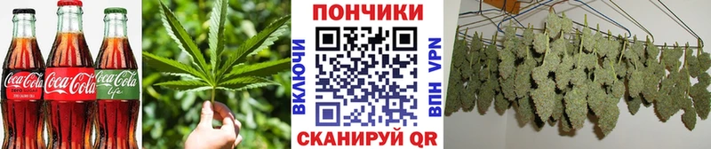 darknet формула  Далматово  Печенье с ТГК конопля 