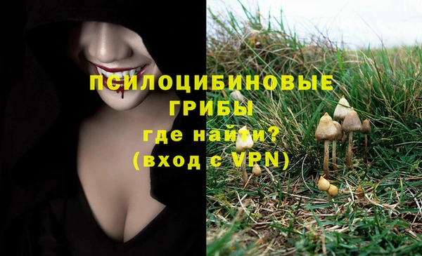 твердый Магас